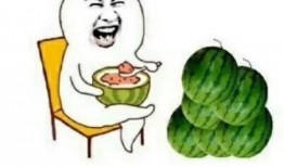 娱乐吃瓜组,吃瓜群众带你领略幕后风云